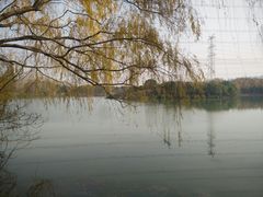 -昆山城市生态森林公园