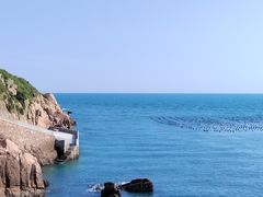 -枸杞岛