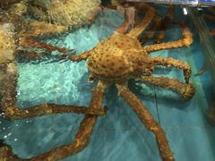 -渔民新村(番禺总店)