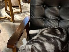 -咖法森林·咖啡  酒吧(天河店)