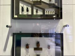 -上海昆虫博物馆