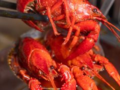 -蒙肥羊·酸汤潮牛·鲜牛肉火锅烤肉自助(岗顶店)