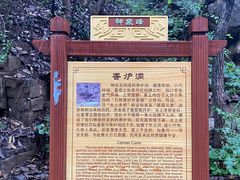-老象峰