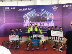 -长春乐奇平衡车儿童体能运动中心