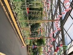 -南宫五洲植物乐园