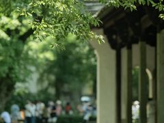 -白鹿洞书院