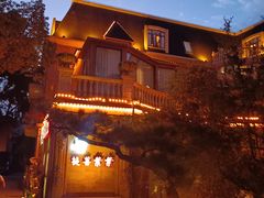 -叶叶菩提(太原别墅店)