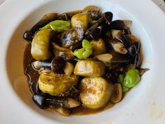 牛肝菌烧茄子-半山腰·云南菜(侨福芳草地店)