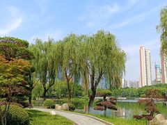 -后襄河公园