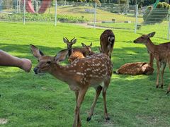 -东南花都花博园