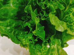 生菜-古乐牛香·鲜牛肉牛杂火锅(新区店)