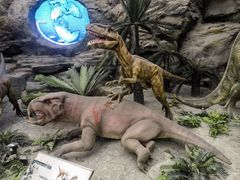 -国家自然博物馆