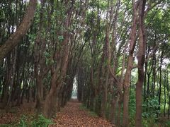 -同里国家湿地公园