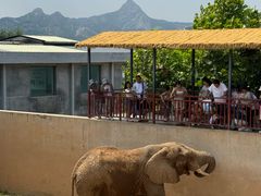 -西霞口神雕山野生动物世界