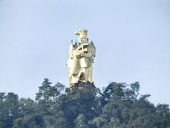 -南山植物园