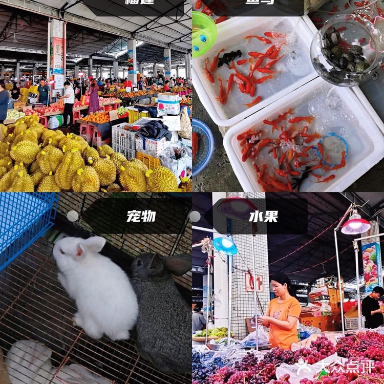 番禺清河市场四九墟，买买买攻略