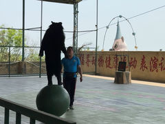 -东方熊牧场