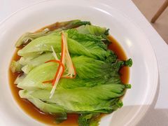 白灼时蔬-悦融琥珀·京鲁菜·海味珍品(西单店)