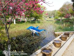 -昆山城市生态森林公园