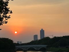 -海珠湖公园