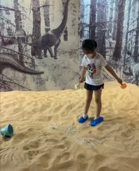 -恐龙探索乐园(磁器口店)