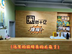 -猫十亿·布偶金渐层·曼基康矮脚猫舍(青年路店)