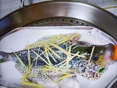 -爱妈妈家政 珠江新城