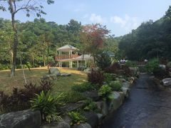 -火炉山森林公园