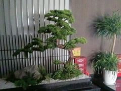 -聚宾楼·烤鸭·家宴(科技三路店)