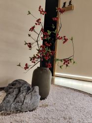 -太乙康·中式美养空间