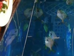 -瑞德姆美人鱼海底演艺主题餐厅(亚龙湾店)