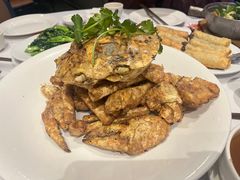 -食为先(Shark Fin)