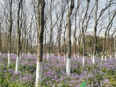-白塘生态植物园