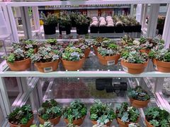 -KKV(天津津南吾悦广场店)
