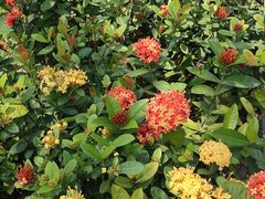 -光明小镇欢乐田园