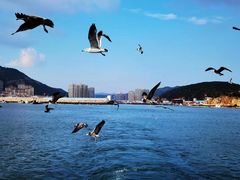 -大连金石滩国家旅游度假区