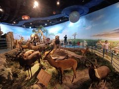 -陕西自然博物馆