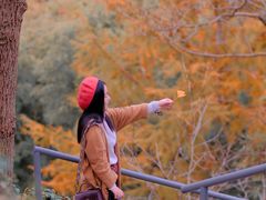 -丹山赤水风景名胜区