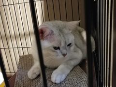 -津菜宋记老房子(鼓楼店)