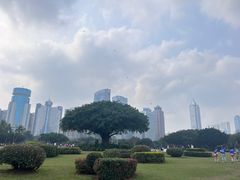 -万绿园