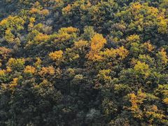 -妙峰山风景名胜区