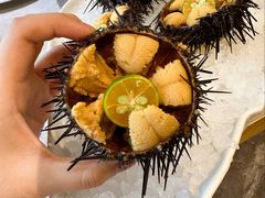 -鲜得莱渔港·小平岛海胆馆(七贤岭店)