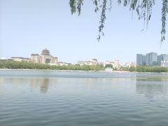 -莲花池公园