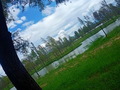 -野鸭湖国家湿地公园