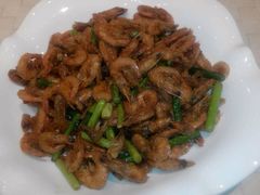android_upload_pic-红樱桃·新派辽菜(北行店)