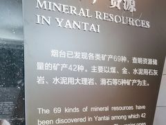 -烟台自然博物馆