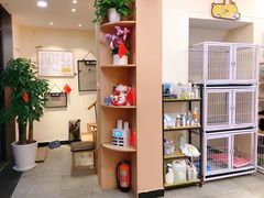 -宠物梦想家(日月豪庭店)