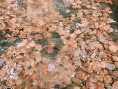 -阔澜蒸汽海鲜自助