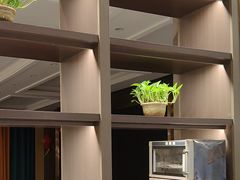 -刘胖子家常菜·蹄花焖藕(兴业店)