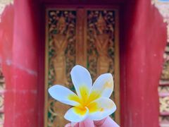 -西双版纳总佛寺